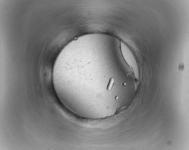 X0000091500021200709061931