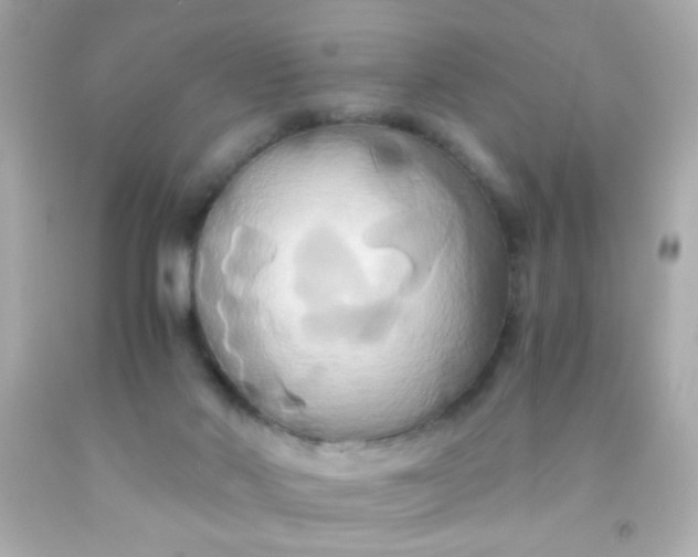 X0000091500022200709061931