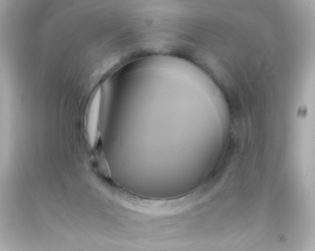 X0000091500023200709061931