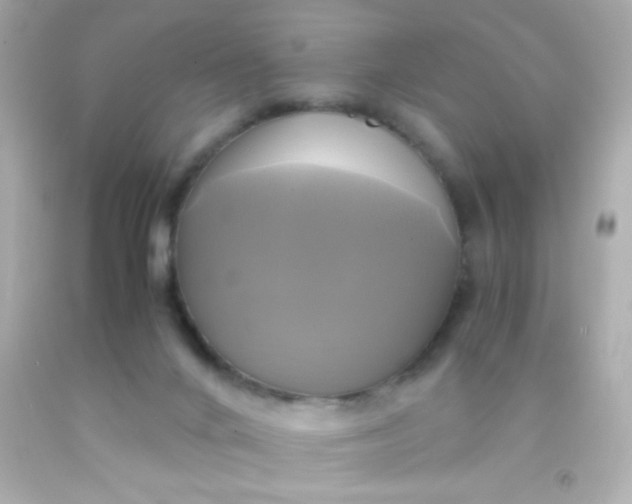 X0000091500024200709061931