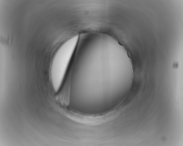 X0000091500027200709061931