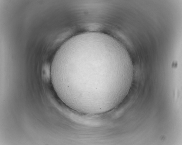 X0000091500028200709061931