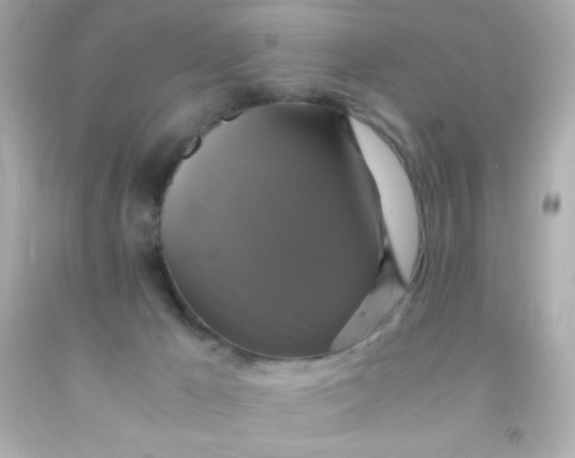 X0000091500029200709061931