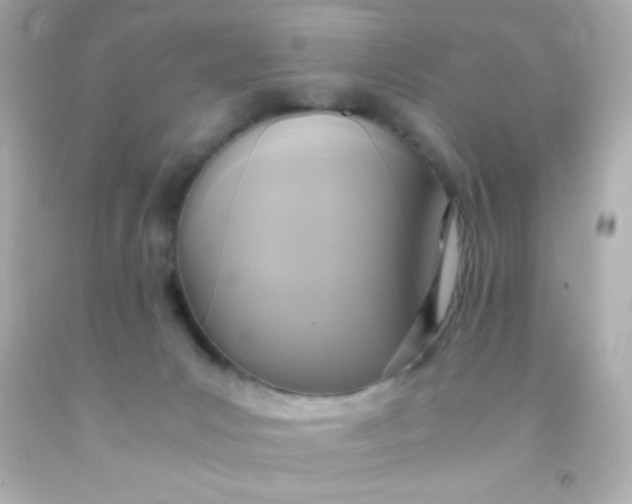 X0000091500031200709061931