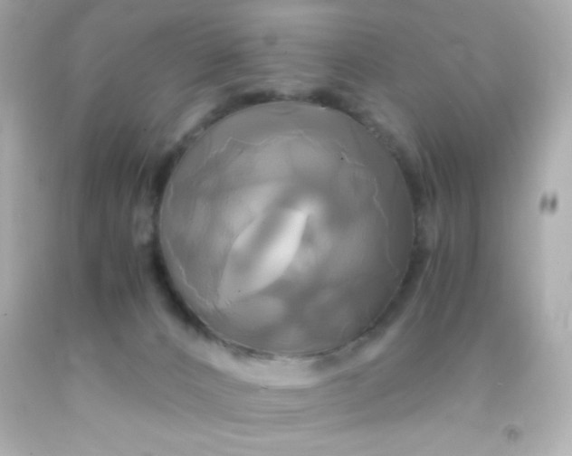 X0000091500032200709061931