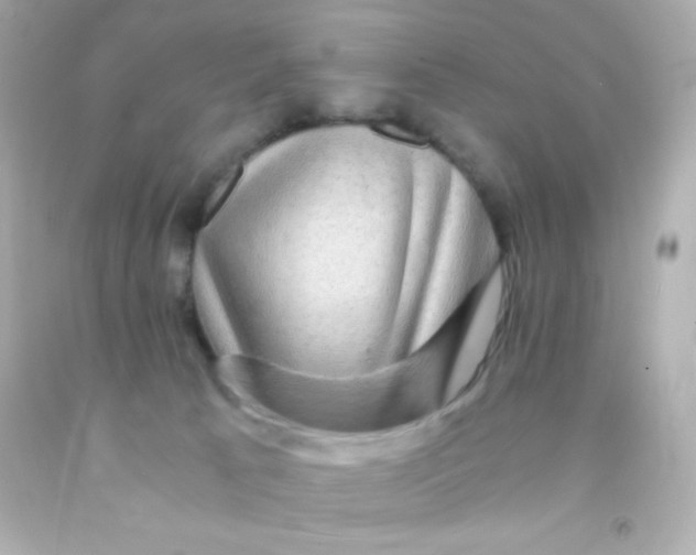 X0000091500033200709061931