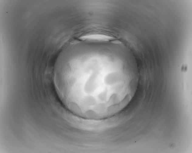 X0000091500034200709061931