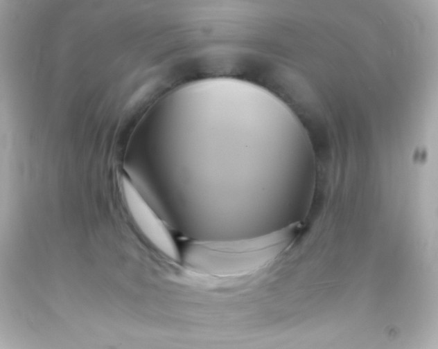 X0000091500035200709061931