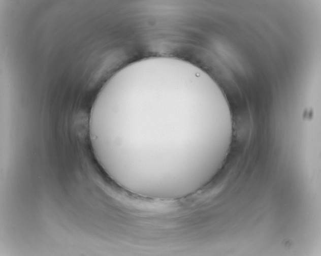 X0000091500036200709061931