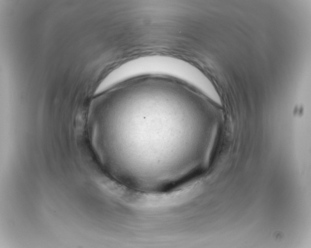 X0000091500037200709061931