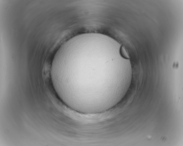 X0000091500038200709061931