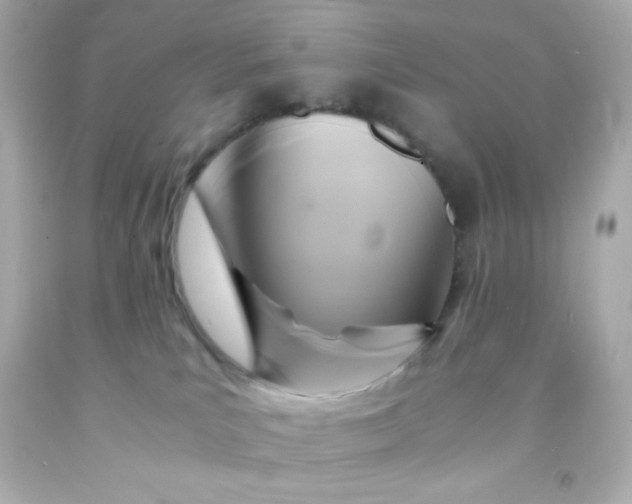 X0000091500039200709061931