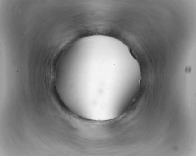 X0000091500040200709061931