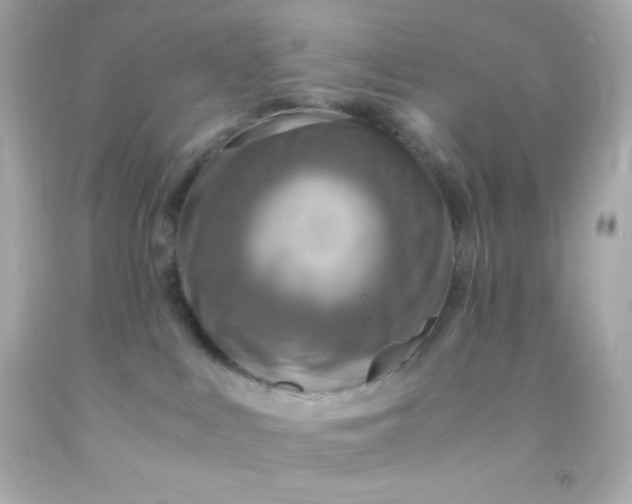 X0000091500043200709061931