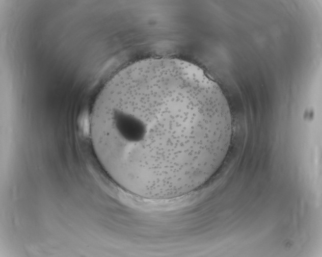 X0000091500046200709061931