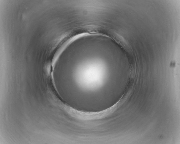 X0000091500047200709061931