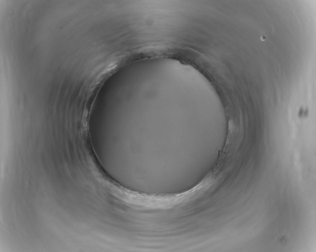 X0000091500048200709061931