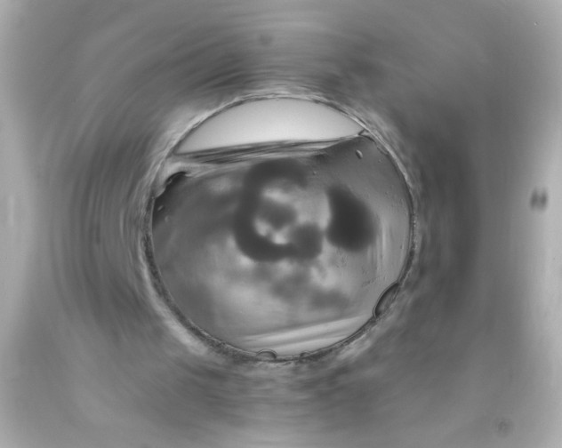 X0000091500049200709061930