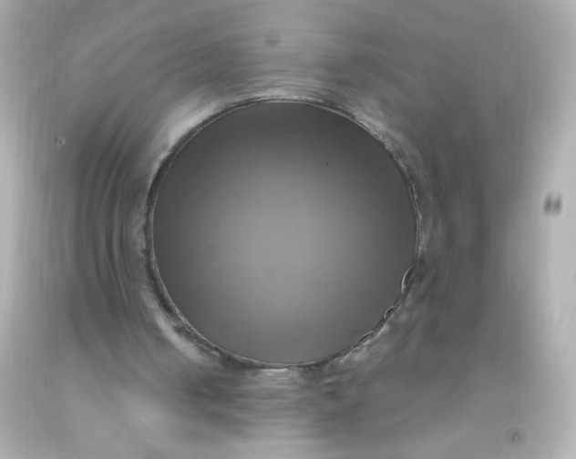 X0000091500050200709061930