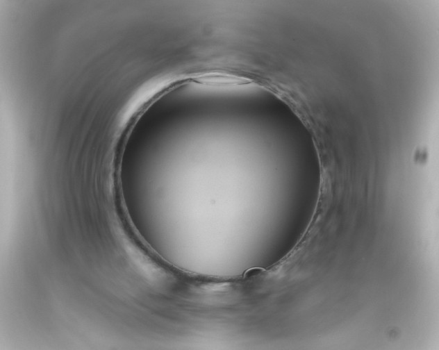 X0000091500054200709061930