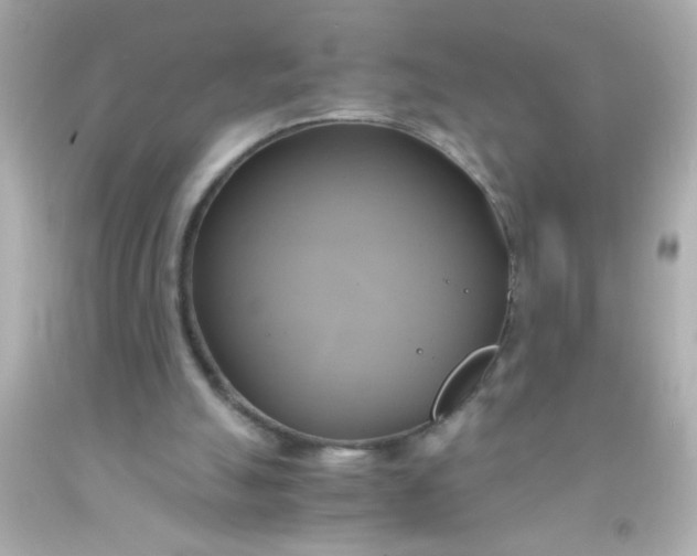 X0000091500055200709061930