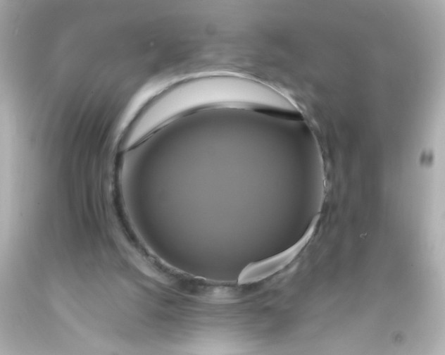 X0000091500056200709061930