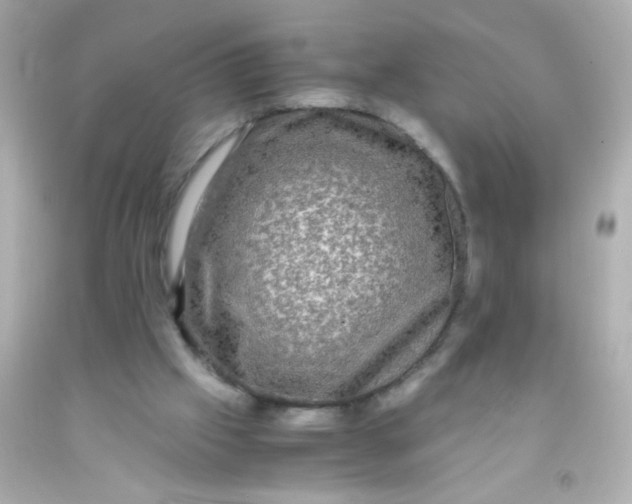 X0000091500057200709061930