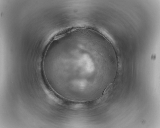 X0000091500058200709061930