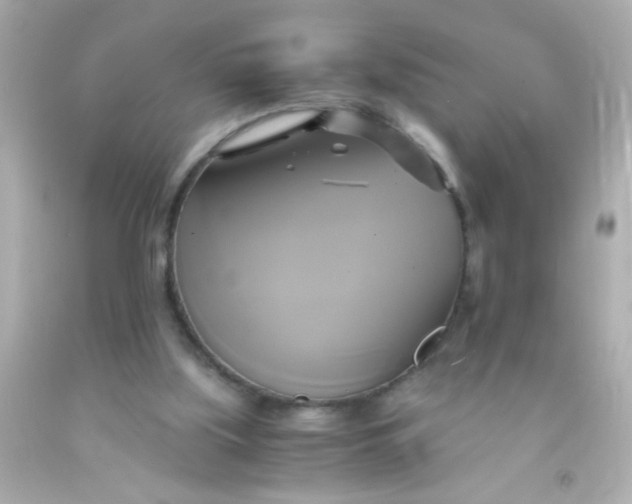 X0000091500059200709061930