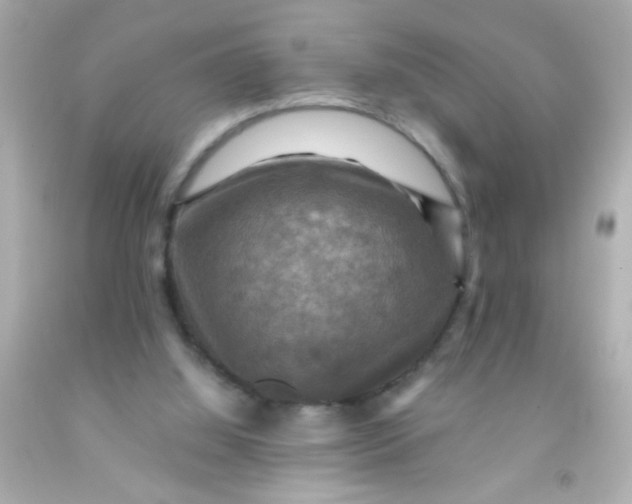 X0000091500060200709061930