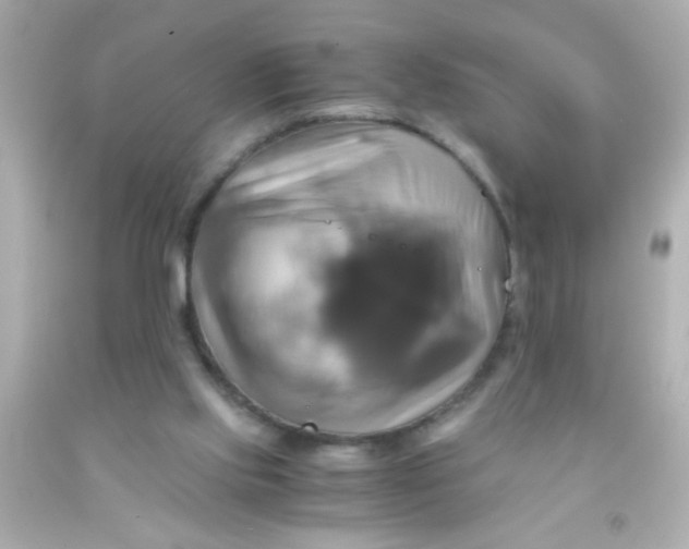 X0000091500061200709061930