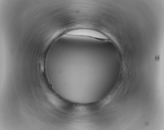 X0000091500062200709061931