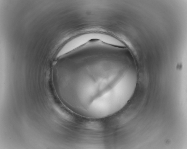 X0000091500063200709061931