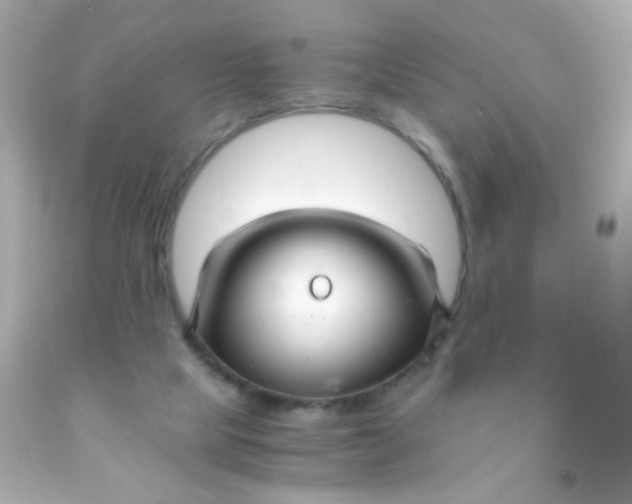 X0000091500065200709061931