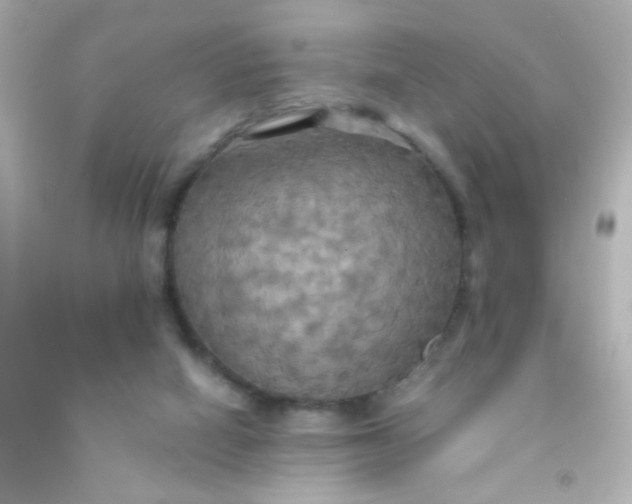 X0000091500066200709061931