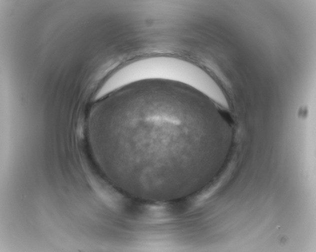 X0000091500068200709061931