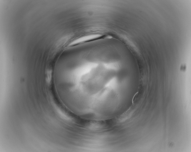 X0000091500070200709061931