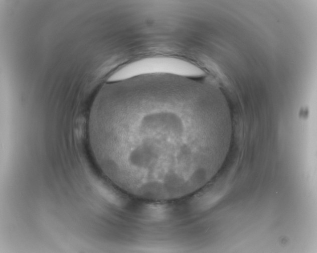 X0000091500071200709061931