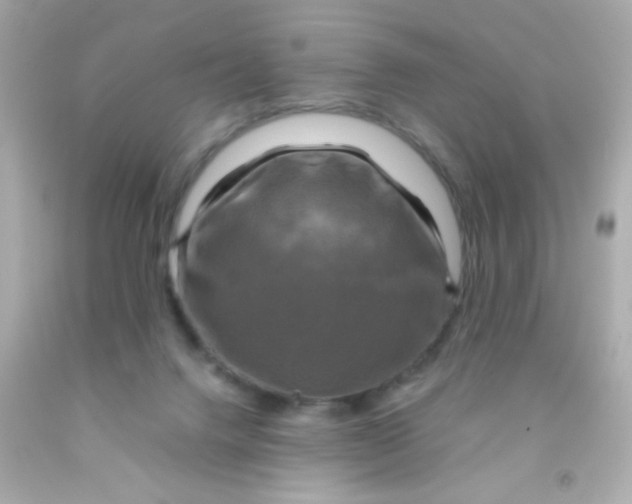 X0000091500072200709061931