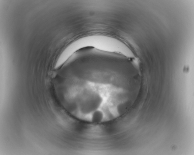 X0000091500073200709061931