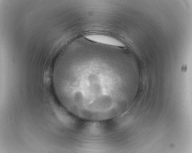 X0000091500074200709061931