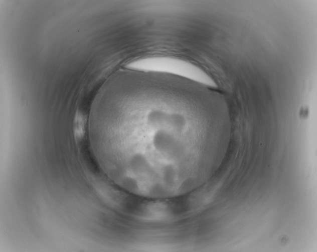 X0000091500075200709061931