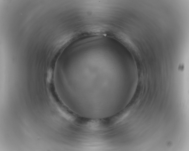 X0000091500076200709061931