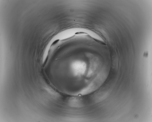 X0000091500077200709061931