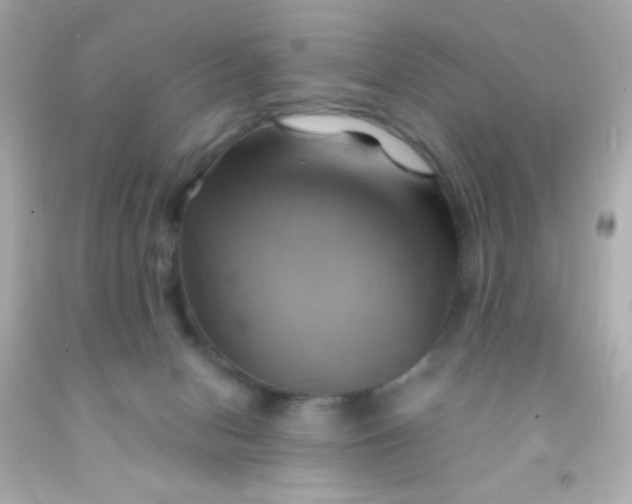 X0000091500078200709061931