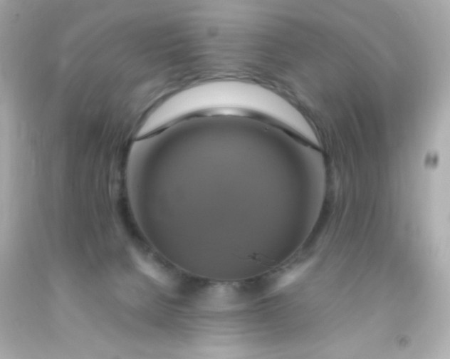 X0000091500080200709061931