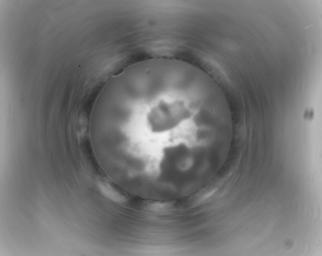 X0000091500081200709061931