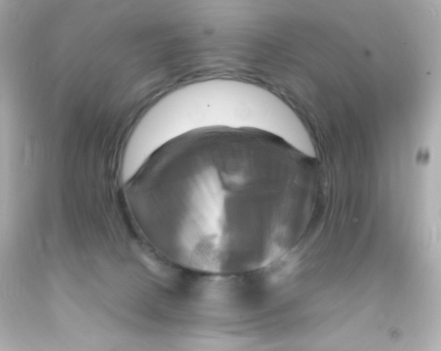 X0000091500082200709061931