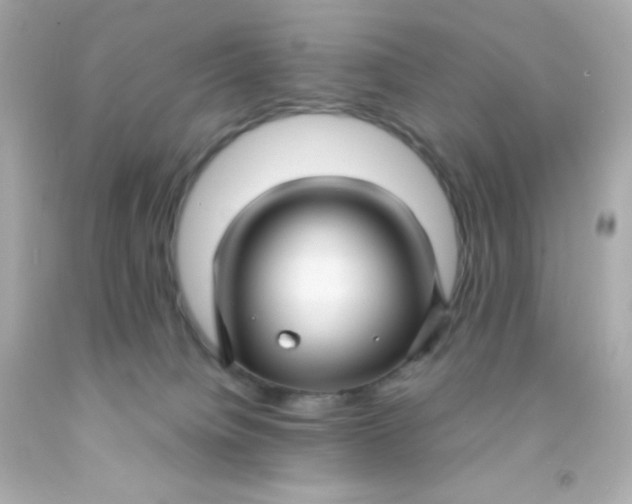 X0000091500084200709061931