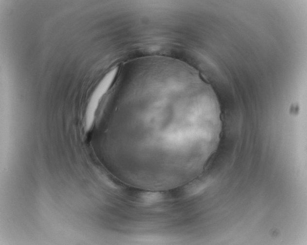 X0000091500085200709061931